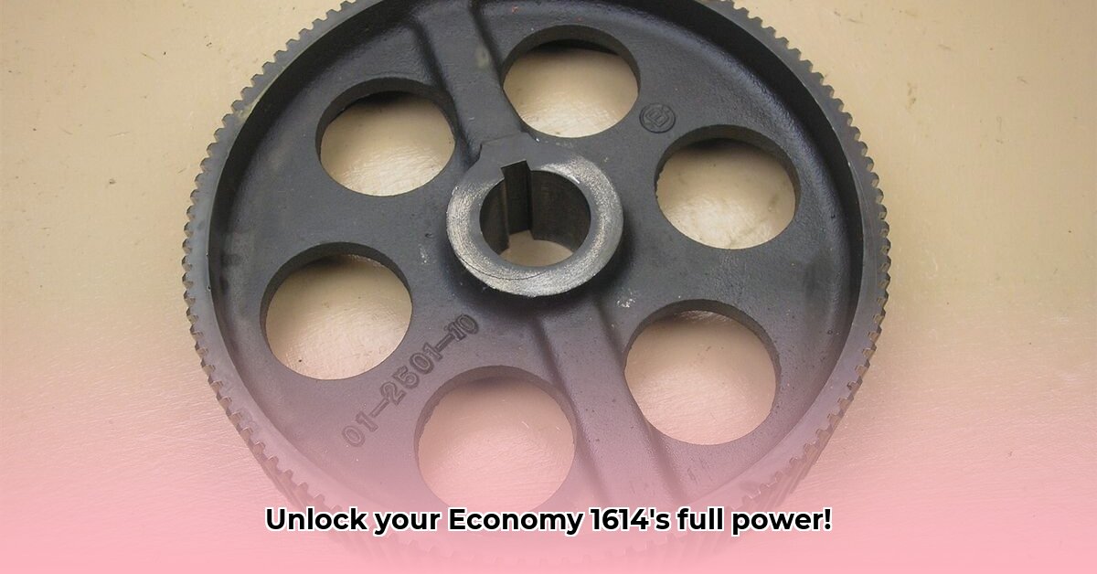 economy-1614-tractor-carburator-and-air-filter